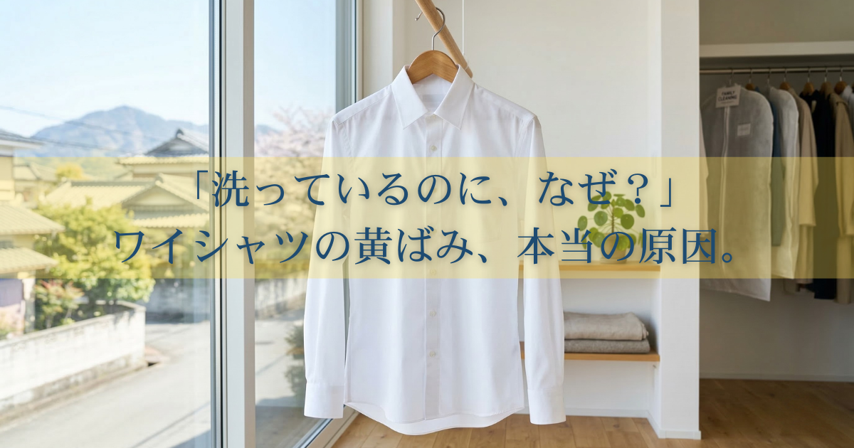太陽光が差し込む明るい部屋で、木製ハンガーに掛けられた真っ白で清潔な長袖のビジネスワイシャツ。