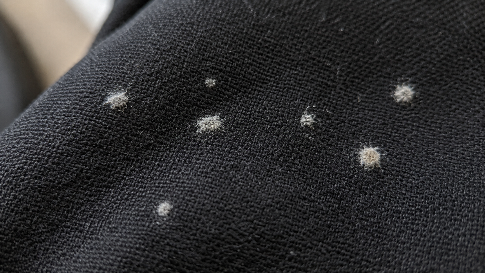 黒い礼服のウール生地に発生した白カビ(ホワイトカビ)のクローズアップ。白〜灰色の小さな粉のような点々がウール繊維の表面に散在している状態。礼服に発生する典型的なカビの実例。北九州市小倉南区のファミリークリーニング解説。