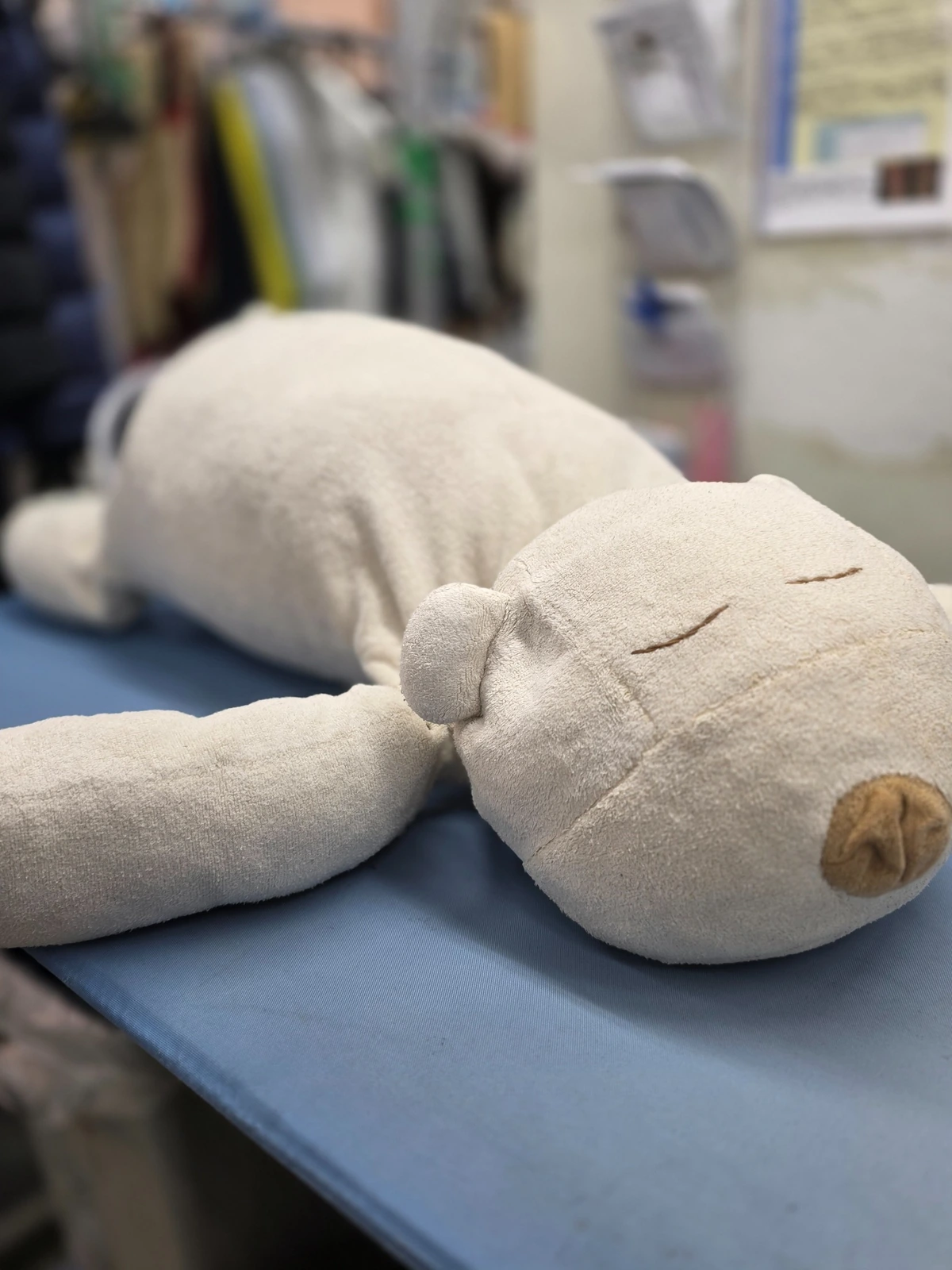 クリーニング前のぬいぐるみ。青い作業台に横たわる全体の様子
