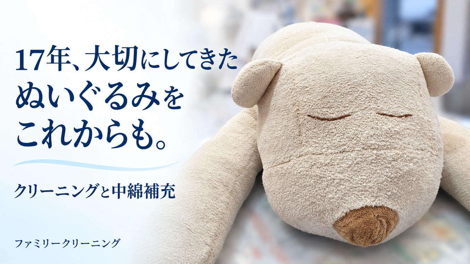 17年大切にしてきたぬいぐるみのクリーニングと中綿補充。仕上がり写真を使った記事の見出し画像