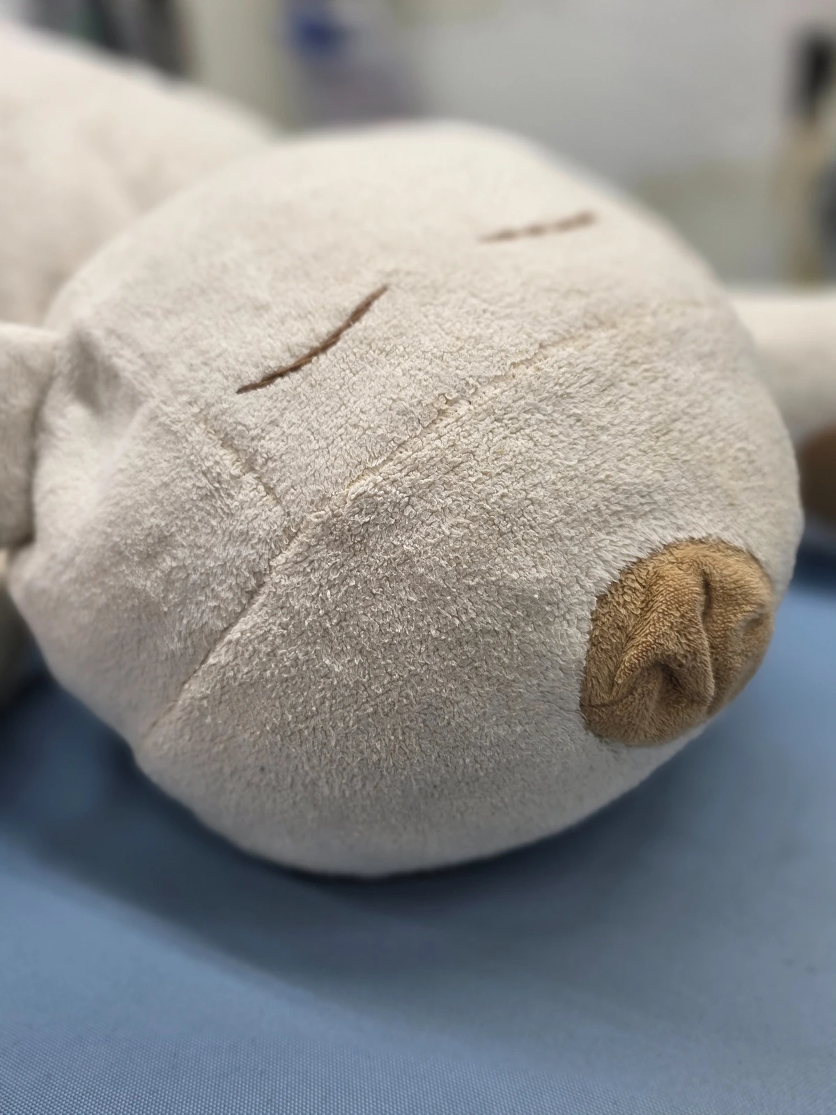 クリーニング前のぬいぐるみの顔を近くから撮影した写真